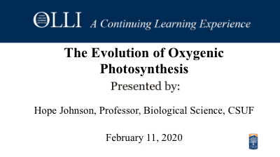 Click here to view Oxygenic Photosynthesis video.