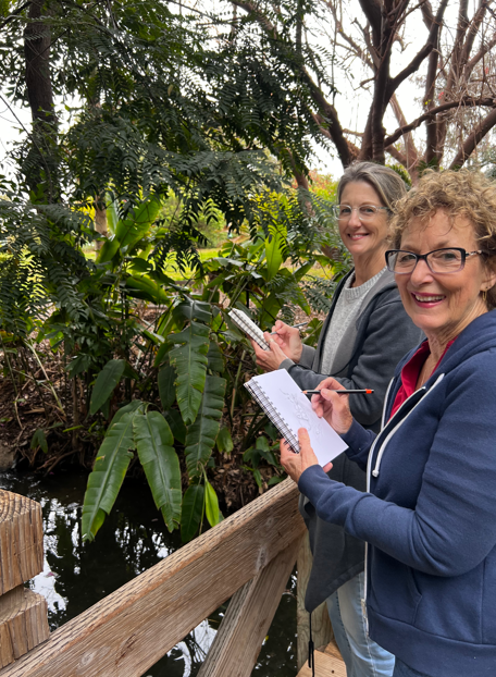 olli members taking the drawing class